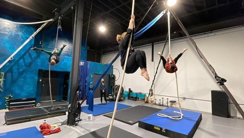 aerial-training-membership-opportunity-stomping-ground-studio